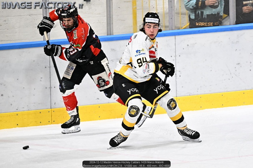 2024-12-12 Mastini Varese-Hockey Caldaro 1429 Marco Matonti